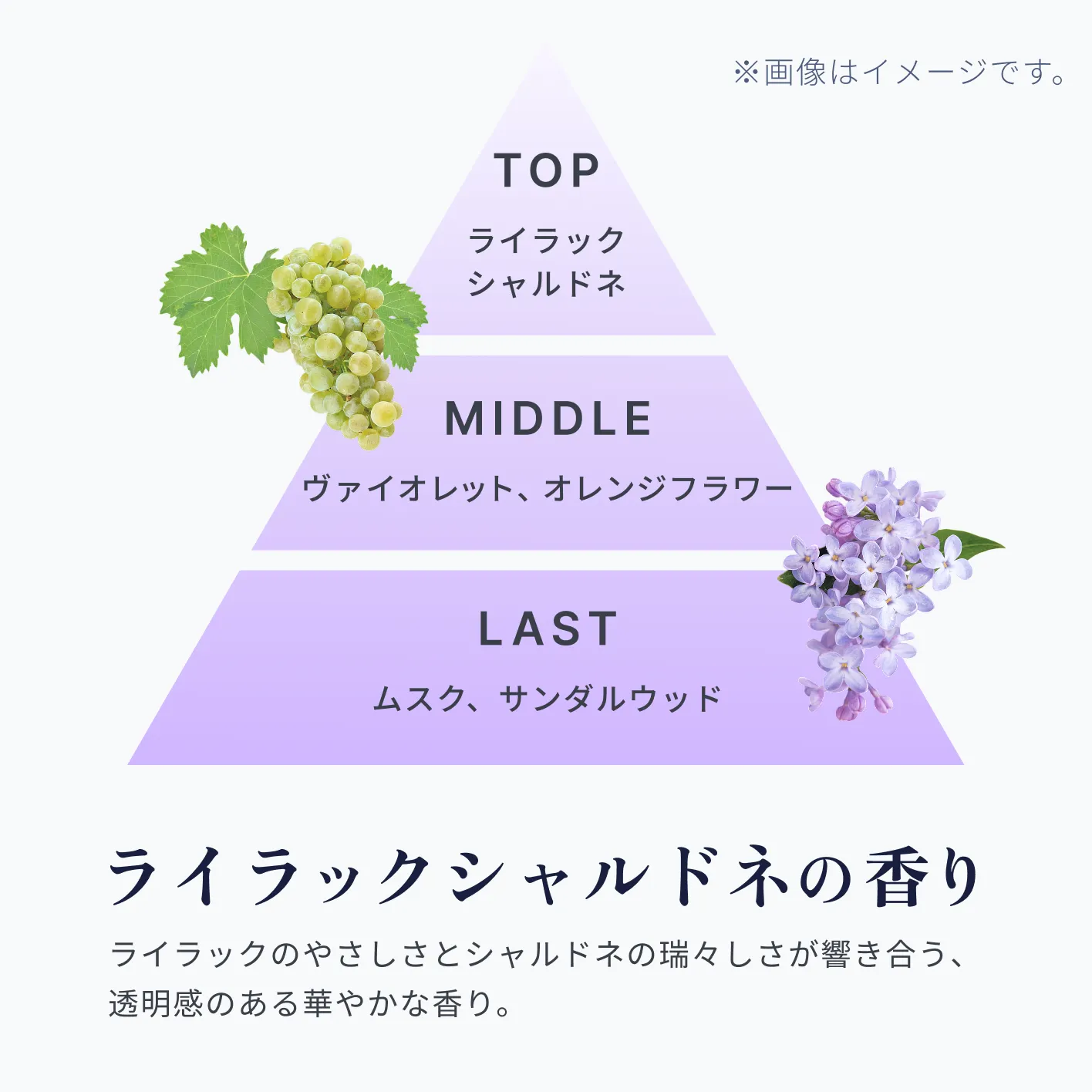 ライラックシャルドネの香り