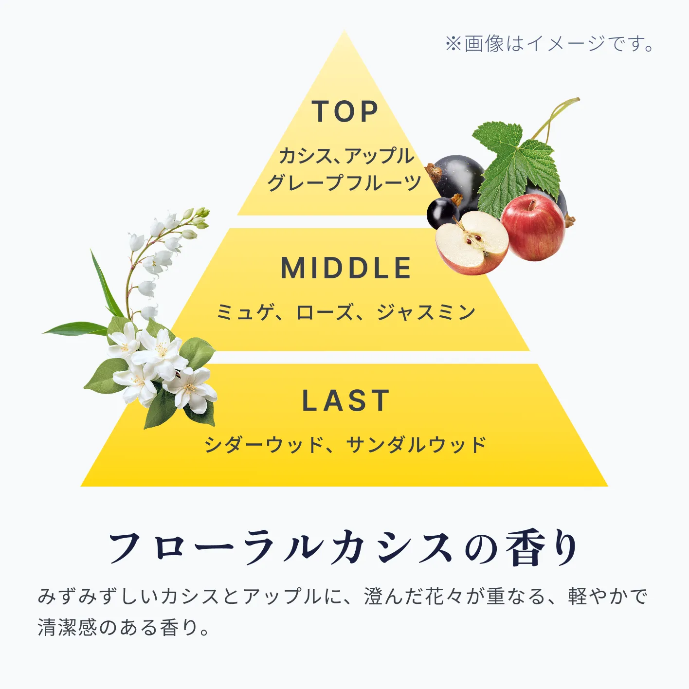 フローラルカシスの香り