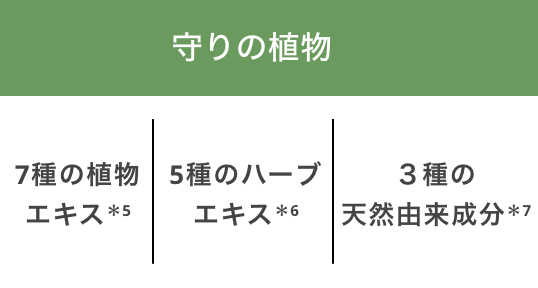 守りの植物