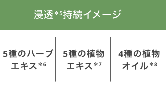 浸透・持続イメージ