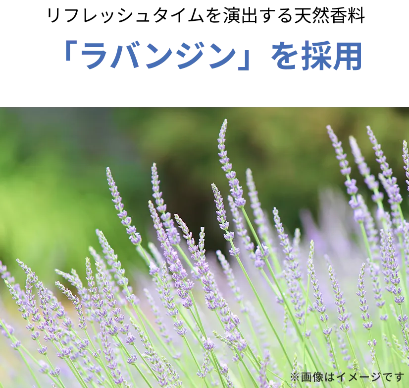「ラバンジン」を採用