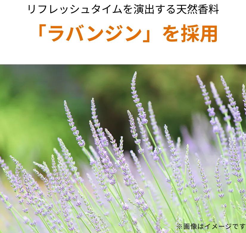 「ラバンジン」を採用